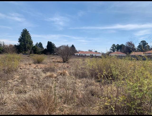 2,022M² VACANT LAND FOR SALE IN HENLEY ON KLIP